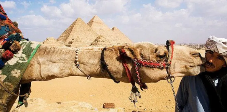 Family tour in Egypt'